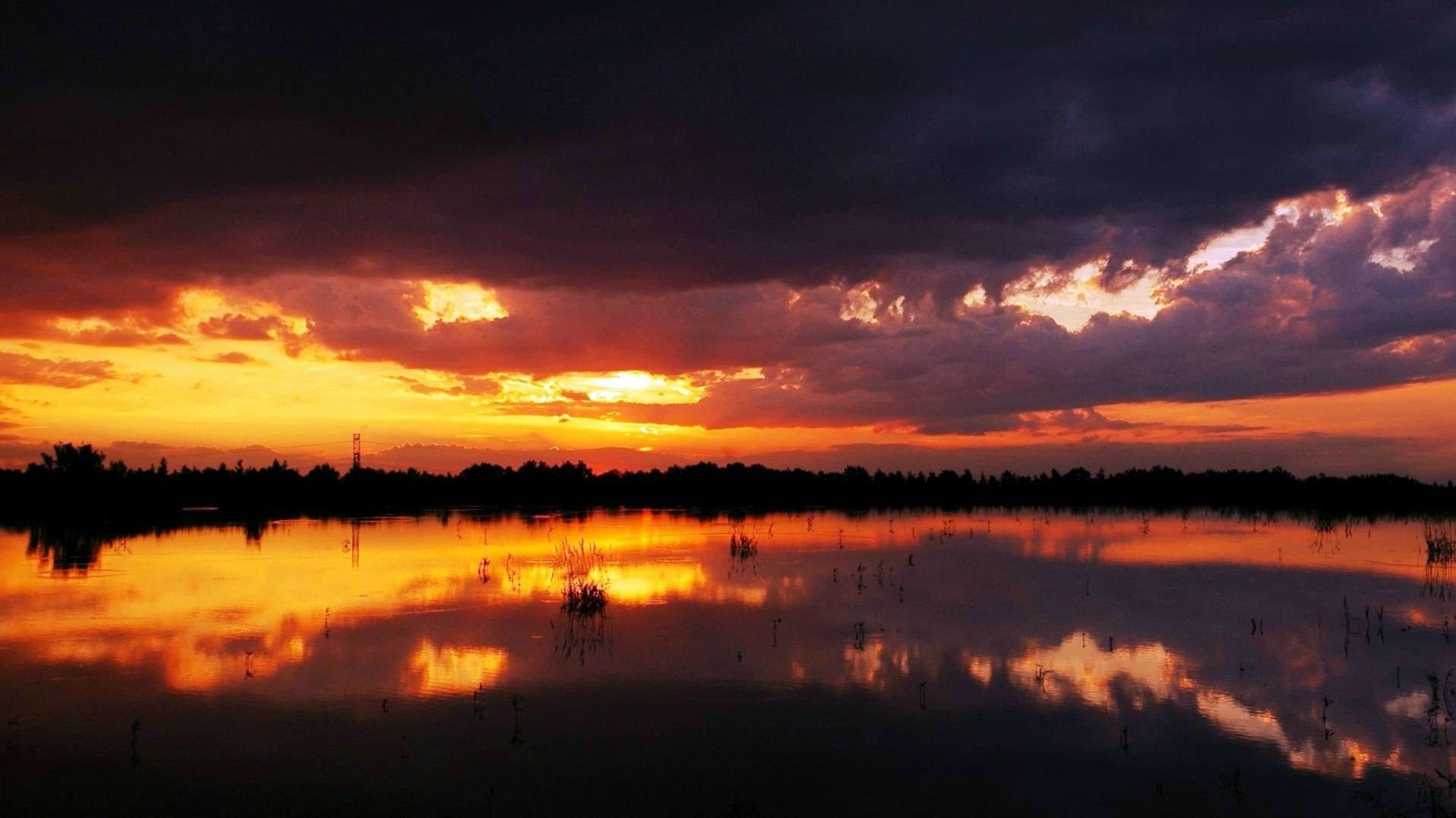 1920 x 1080 HD Wallpapers 257